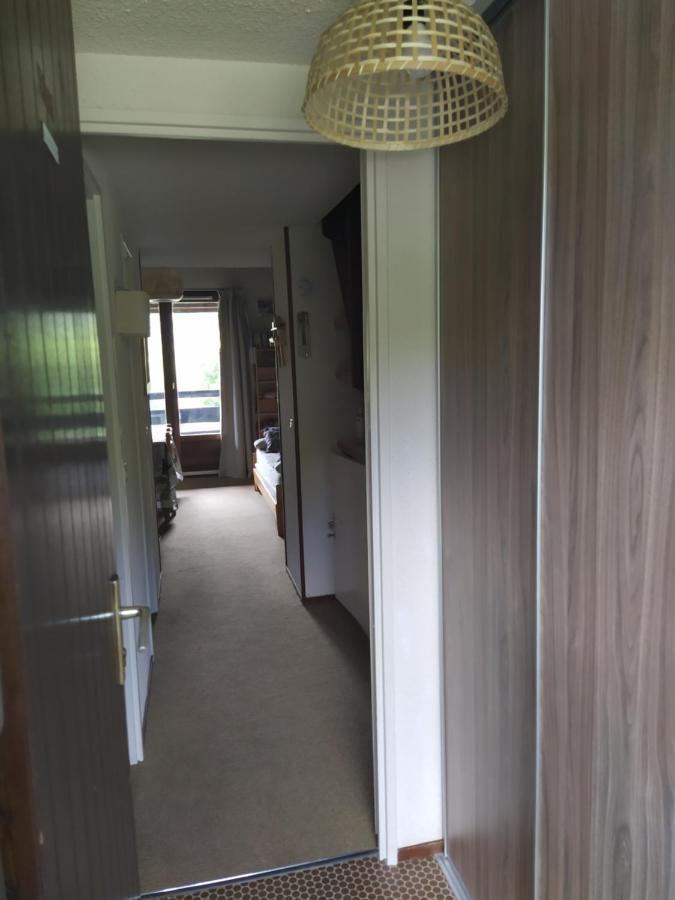 Apartamento Duplex 3 Pieces. Pieds Des Pistes Et Balcon! Gresse-en-Vercors