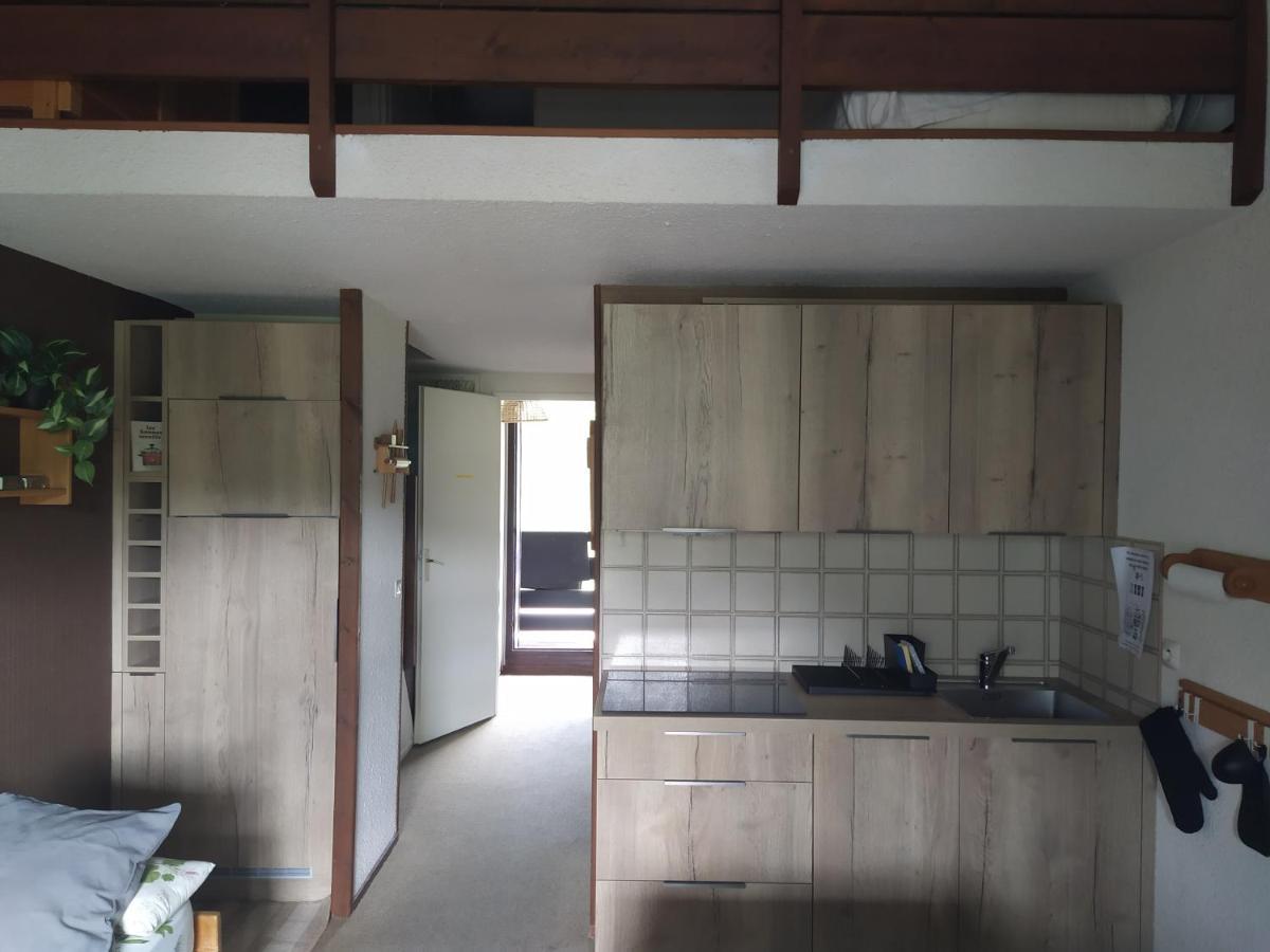 Duplex 3 Pieces. Pieds Des Pistes Et Balcon! *